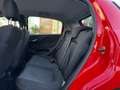Fiat Punto Evo 1.3 M-Jet Edizione Cool/AIRCO/CRUISE/TREKHAAK/PSEN Rot - thumbnail 16
