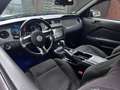 Ford Mustang cabrio ford-mustang Blau - thumbnail 9