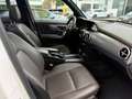 Mercedes-Benz GLK 350 CDI BlueEfficiency 4Matic Weiß - thumbnail 27