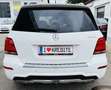 Mercedes-Benz GLK 350 CDI BlueEfficiency 4Matic Weiß - thumbnail 8
