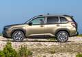 Subaru Forester 2.0i Hybrid Active CVT - thumbnail 27