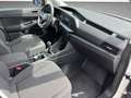 Volkswagen Caddy 2.0+TDI+KLIMA+MFL+MFA+LANE ASSIST+DAB+ Weiß - thumbnail 18
