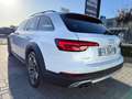Audi A4 allroad A4 allroad 2.0 TDI 190 CV S tronic Business Evolut Blanc - thumbnail 5