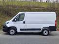 Fiat Ducato Kasten 30 L1H1 120MJ Serie9 Klima,Radio,270° Wit - thumbnail 4