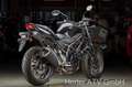 Suzuki SV 650 Modell 2023 - thumbnail 6