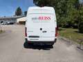 Mercedes-Benz Sprinter 317CDI RWD L2 H2 PRO Nutzlast 1.113kg Weiß - thumbnail 11