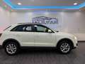Audi Q3 2,0 TDI, AHK, LED+XENON, TEMPOMAT Weiß - thumbnail 8