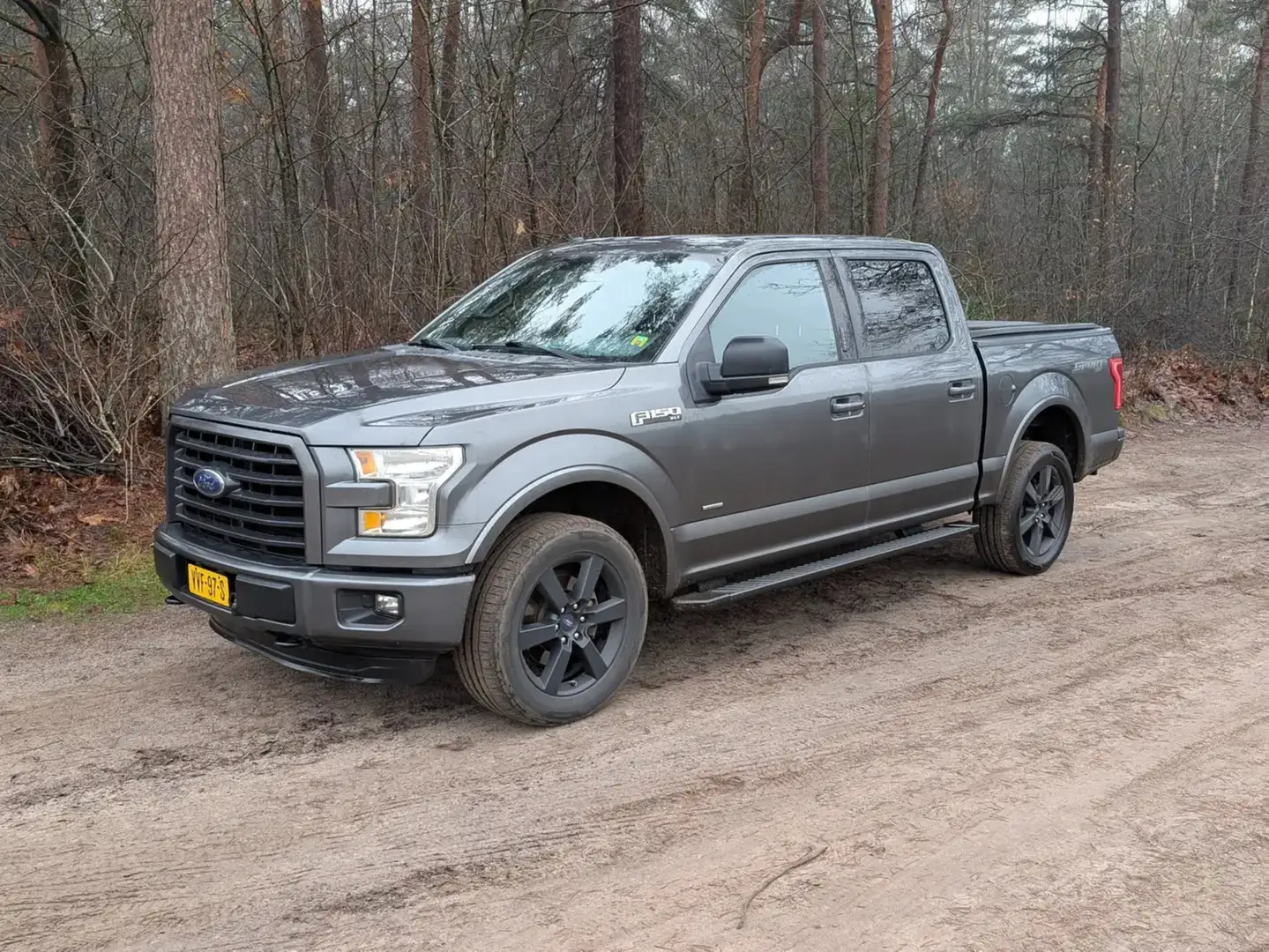 Ford F 150 F 150 XLT Šedá - 1