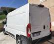 Fiat Ducato DUCATO 35 2.2mjt L2H2 FURGONE - KM 8.000 del 2024 Bianco - thumbnail 3