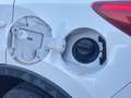 Mazda CX-5 2.2L Skyactiv-D 150CV 2WD Evolve Weiß - thumbnail 15