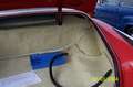 Borgward Rot - thumbnail 8
