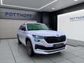 Skoda Kodiaq 2.0 TDI DSG 4x4 SPORTLINE STANDHZG PANO 360° Bianco - thumbnail 6
