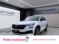 Skoda Kodiaq 2.0 TDI DSG 4x4 SPORTLINE STANDHZG PANO 360° Bianco - thumbnail 1