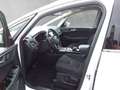 Ford S-Max S-MAX Titanium 2.0 EcoBlue SCR Aut. Weiß - thumbnail 7