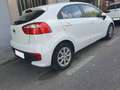Kia Rio 1.2 CVVT Drive Blanco - thumbnail 9