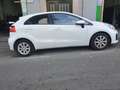 Kia Rio 1.2 CVVT Drive Blanco - thumbnail 8