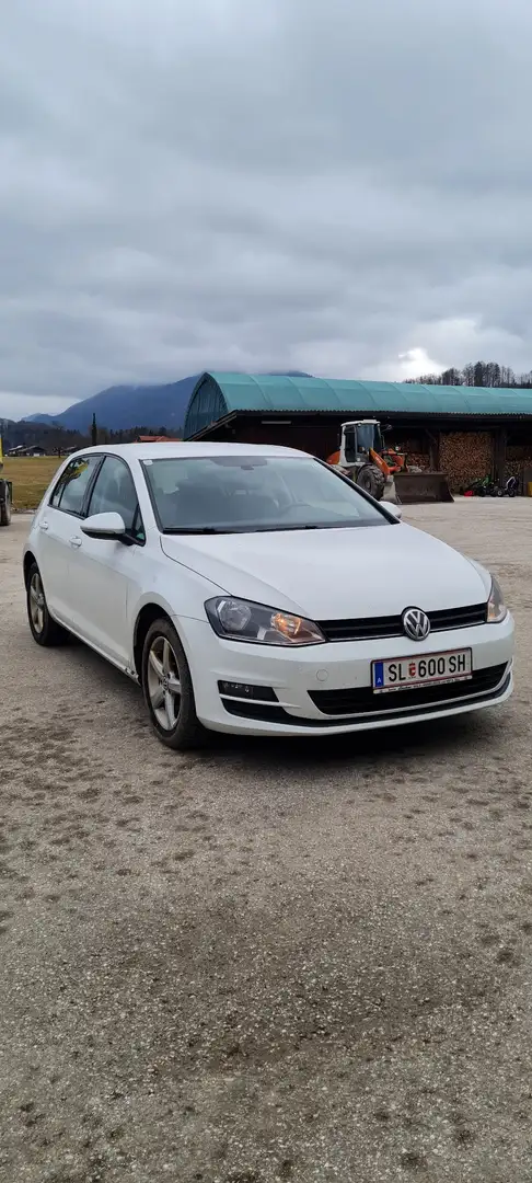 Volkswagen Golf GTE Weiß - 1