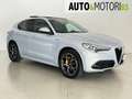 Alfa Romeo Stelvio 2.2 Turbodiesel 210 CV AT8 Q4 Veloce Grigio - thumbnail 3