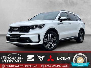 1.6 PHEV 4WD PLATINUM 7-S. AHK PANORAMA-GLASDACH