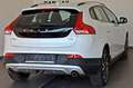 Volvo V40 Cross Country Summum Leder,Navi,LED,Panorama Білий - thumbnail 2