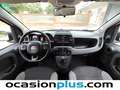 Fiat Panda 1.0 Gse City Live Hybrid Blanco - thumbnail 7