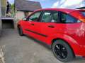 Ford Focus FESTPREIS -015236321177 WhatsApp Rouge - thumbnail 1