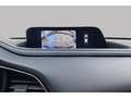 Mazda CX-30 5 Portes Blanc - thumbnail 14