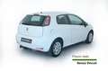 Fiat Punto Punto 1.3 MJT II 75 CV 3 porte Lounge Alb - thumbnail 4