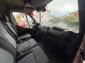 Nissan NV400 28 2.3 dCi 125CVFurgone*IVA ESPOSTA* Blanc - thumbnail 16