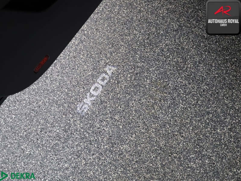 Skoda Karoq 2.0 TDI 4x4 SPORTLINE MATRIX,360°,MEMORY — photo 14