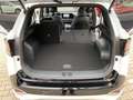 Kia Sportage GT-Line 1.6 Hybrid AT-6 Navi Rü.CAM LED SHZ DAB Bianco - thumbnail 5