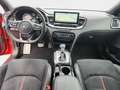 Kia ProCeed / pro_cee'd ProCeed 1.6 T-GDI GT Allwetter+Navi+JBL+SHZ+Klima Rot - thumbnail 9