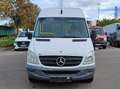 Mercedes-Benz Sprinter 311CDI  Rollstuhllift Weiß - thumbnail 7