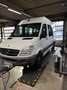 Mercedes-Benz Sprinter 311CDI  Rollstuhllift Weiß - thumbnail 44