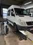 Mercedes-Benz Sprinter 311CDI  Rollstuhllift Weiß - thumbnail 43