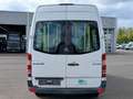 Mercedes-Benz Sprinter 311CDI  Rollstuhllift Weiß - thumbnail 8