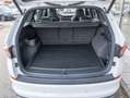 Skoda Kodiaq Sportline 4x4 Sportpaket DAB AHK PANO LED Weiß - thumbnail 12