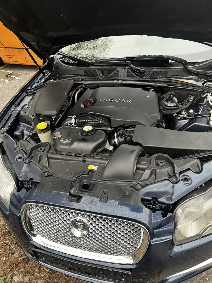 Jaguar XF 3,0 Diesel Luxury - 1