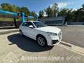 Audi Q2 2.0 TDI quattro S tronic Bianco - thumbnail 14