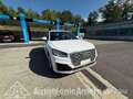 Audi Q2 2.0 TDI quattro S tronic Bianco - thumbnail 1