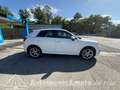 Audi Q2 2.0 TDI quattro S tronic Bianco - thumbnail 6