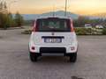 Fiat Panda Panda III 2016 4x4 0.9 t.air t. 4x4 s Bianco - thumbnail 5