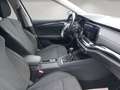 Skoda Octavia "First Edition" AHK*MEMORY* Schwarz - thumbnail 15