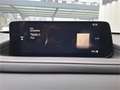 Mazda CX-30 e-Skyactive G140 Homura Aut. Grau - thumbnail 14