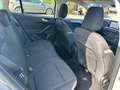 Ford Focus Cool /Scheckheft/Top Ausstattung - thumbnail 17