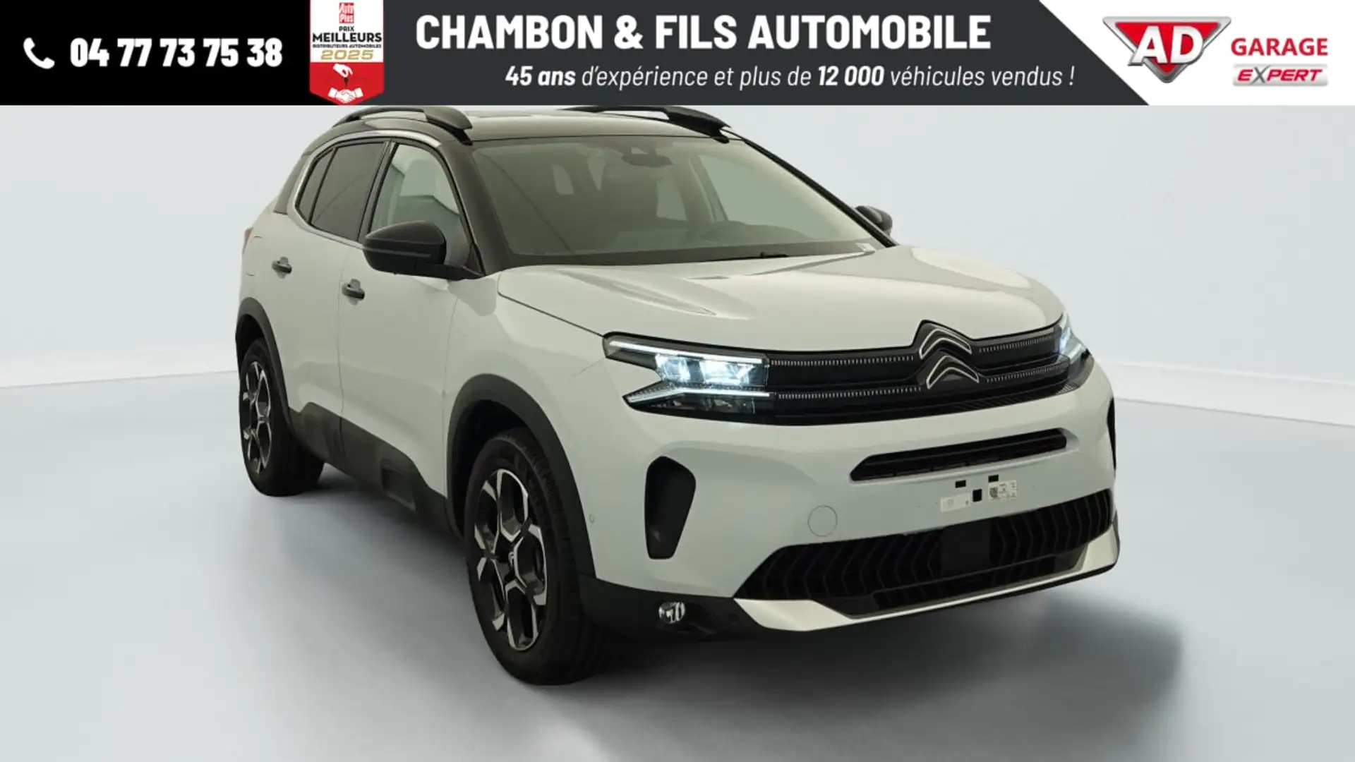 Citroen C5 Aircross BlueHDi 130 EAT8 Max Alb - 1