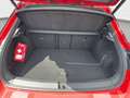 Volkswagen T-Roc T-ROC 1.5 TSI DSG Sport*Black Style* Navi* AHK* Rouge - thumbnail 12