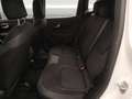Jeep Renegade 1.5 turbo t4 mhev Altitude 2wd dct * 11 860 KM * Bianco - thumbnail 15