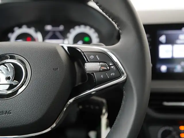 Skoda Fabia view 9