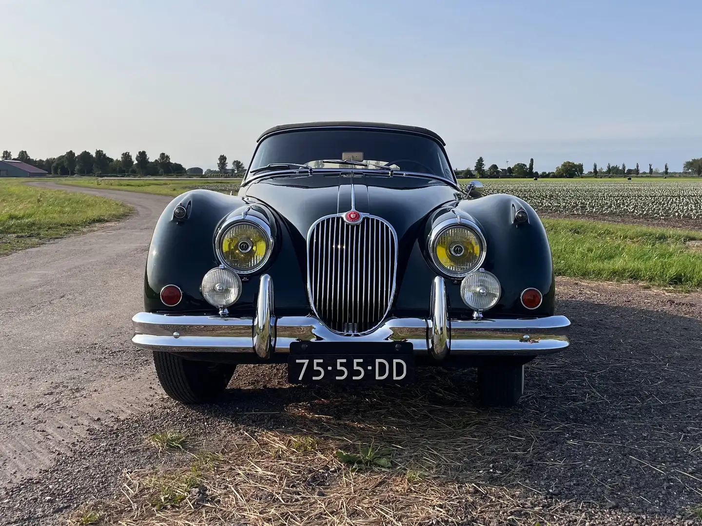 Jaguar XK XK 150 3.8S Groen - 2